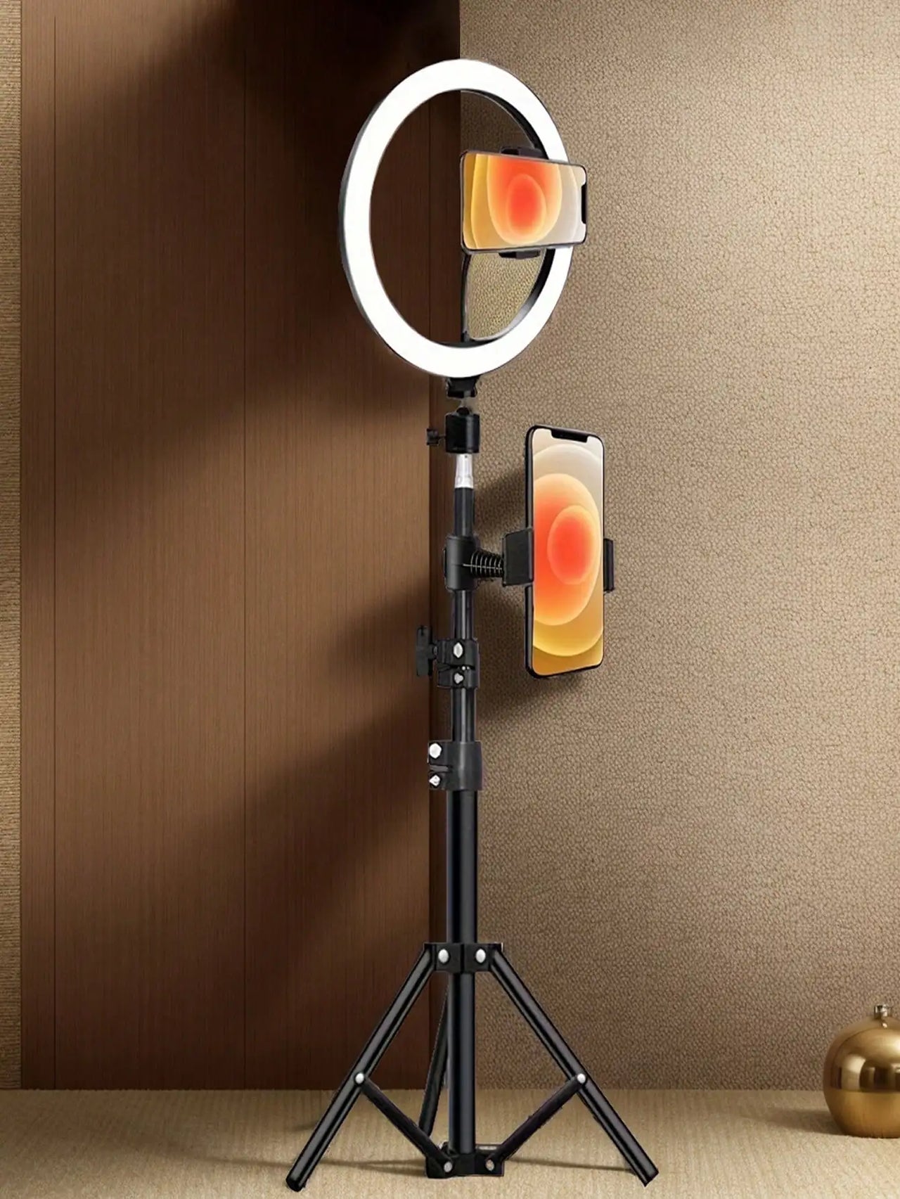 10" LED Ring Light with 110cm Tripod Stand & Phone Holder for Live Streaming, TikTok & Selfies